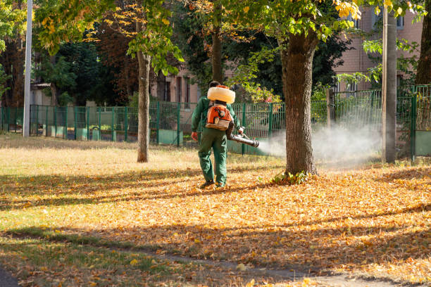 Professional Pest Control in Bennington, NE