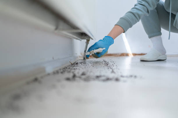 Best Best Pest Control Companies  in Bennington, NE